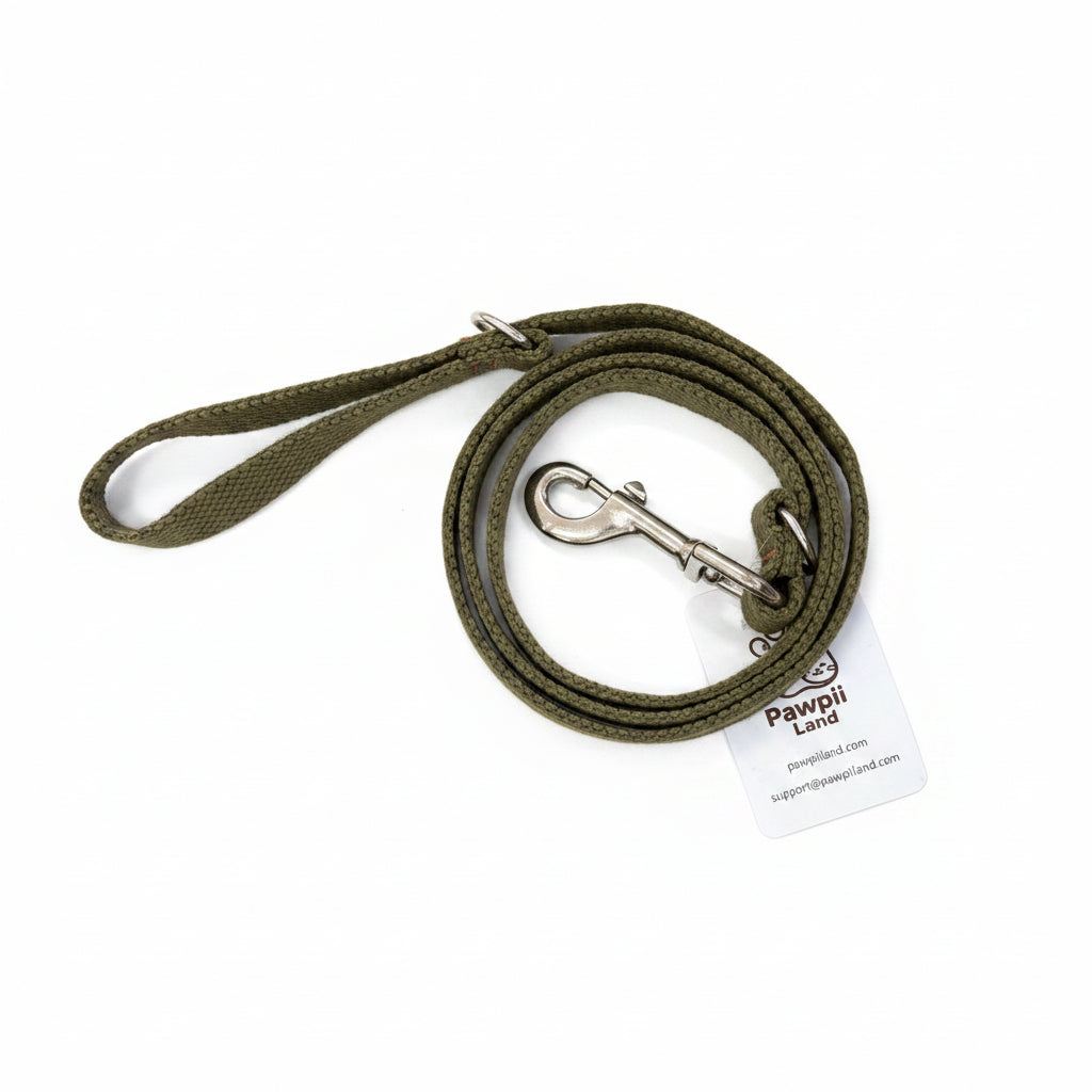 Green dog leash with a metal clip on a beige surface, featuring a 'Pawpil' brand tag.